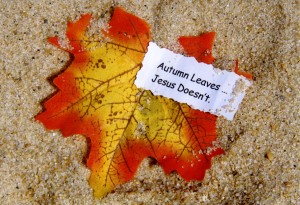 autumn-leaves